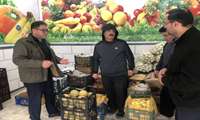 کالاهای اساسی در گلوگاه؛ مدیر جهاد کشاورزی از روند توزیع بازدید کرد